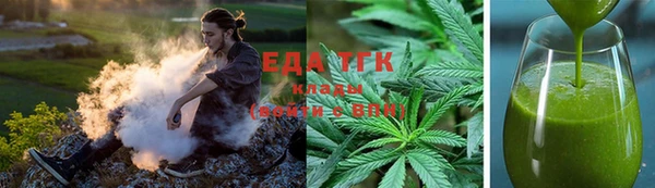 PSILOCYBIN Тутаев