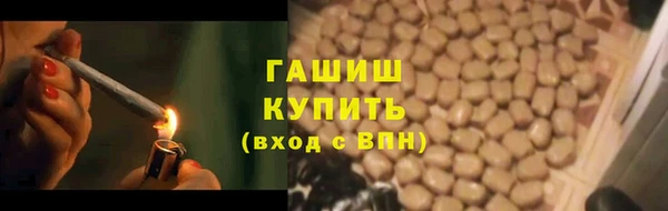 PSILOCYBIN Тутаев