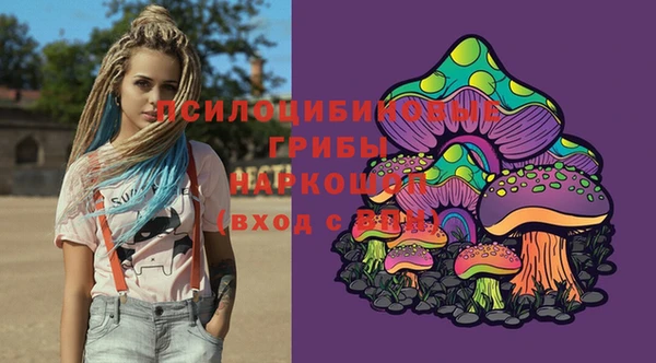 прущие грибы Тында