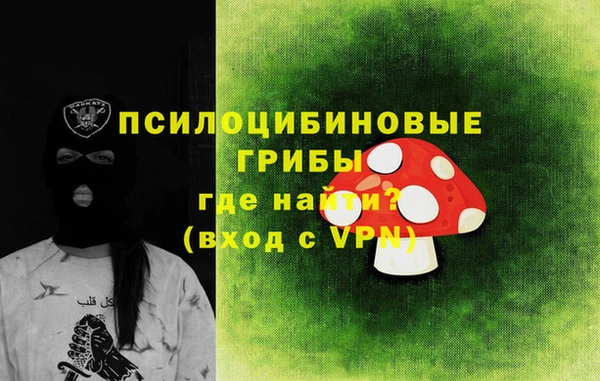 PSILOCYBIN Тутаев