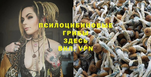 Альфа ПВП Тобольск