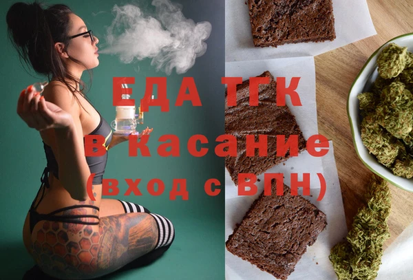 прущие грибы Тында