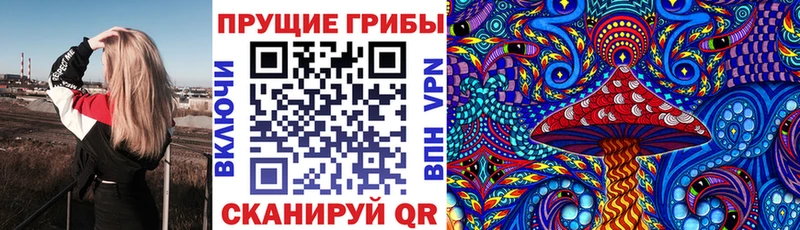 где купить наркотик  Уссурийск  Галлюциногенные грибы Cubensis 