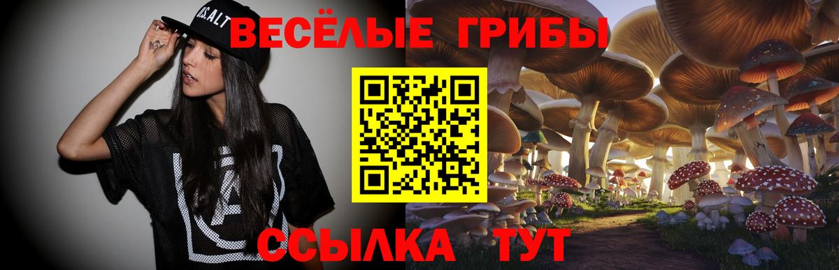 Уссурийск  Галлюциногенные грибы MAGIC MUSHROOMS  Вход с VPN 